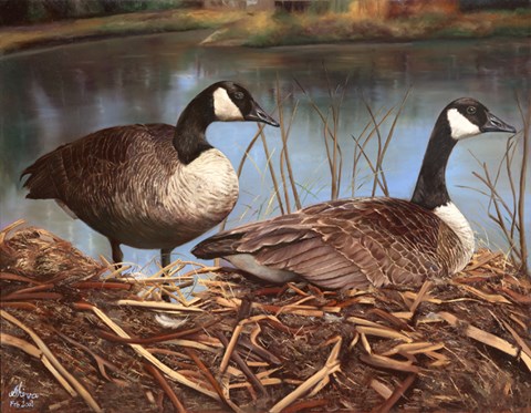 Framed Nesting Print