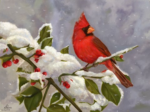 Framed Cardinal Print