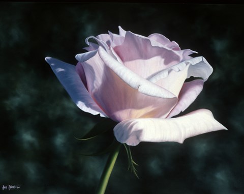 Framed Sterling Print