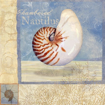 Framed Ocean Beauties V Print