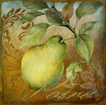 Framed From The Grove Pear Print
