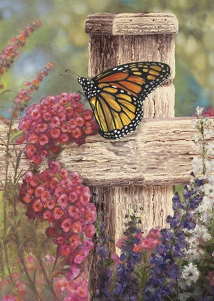 Framed Butterfly and Fence Cross Print