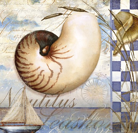 Framed Shell Dreams 2 Print