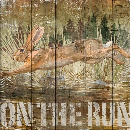 Framed Rabbit on the Run Print