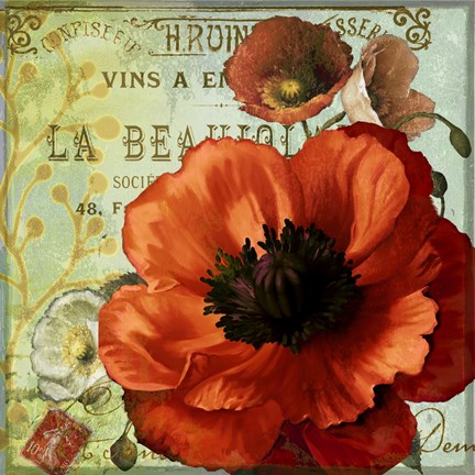 Framed Rouge From the Garden III Print