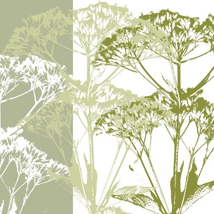 Framed Delicate Greens Print