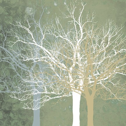 Framed Quiet Forest Print