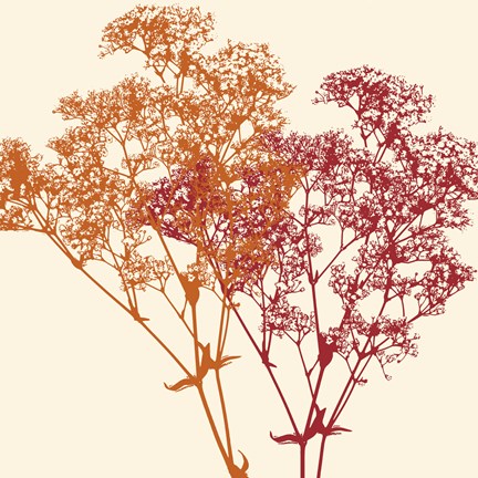 Framed Salamanca Print