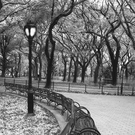 Framed Walk Through the Park Print