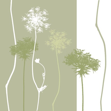 Framed Queen Anne&#39;s Lace Print