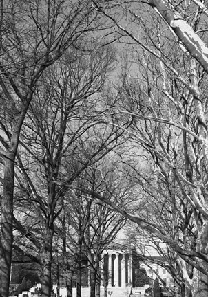 Framed Philadelphia Museum (Trees) Print