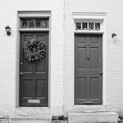 Framed Dual Doors Print