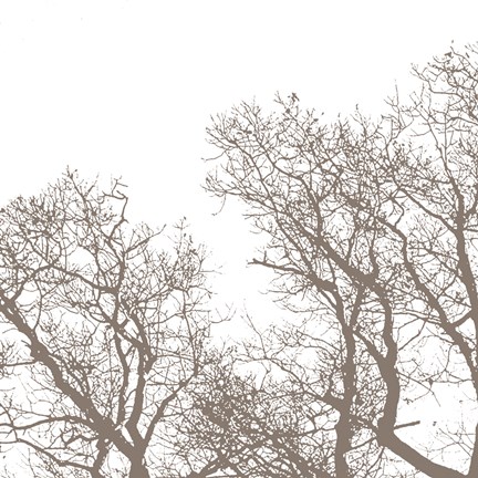 Framed Majesty I Print