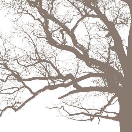 Framed Majesty III Print