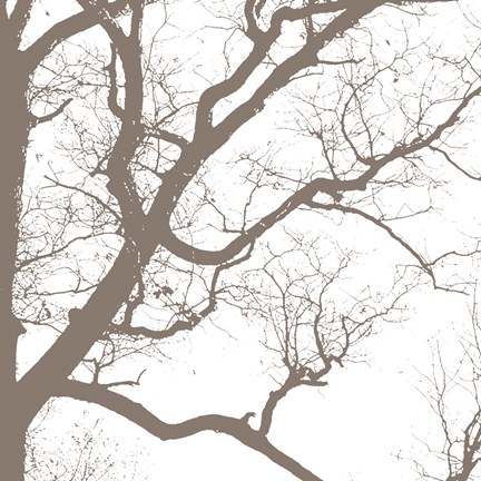 Framed Majesty IV Print