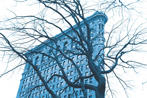 Framed Blue Flatiron Print