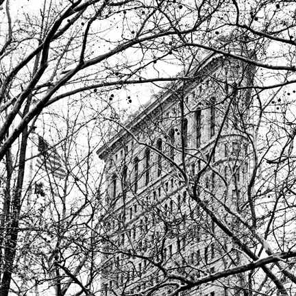 Framed Veiled Flatiron Building (b/w) (detail) Print