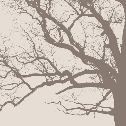 Framed Majesty III  (beige) Print