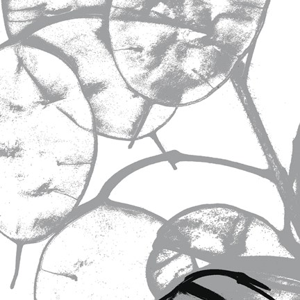 Framed Silver Dollars IV Print