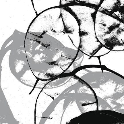 Framed Silver Dollars V Print