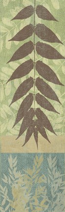 Framed Leaves II Print