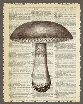 Framed Mushroom Print