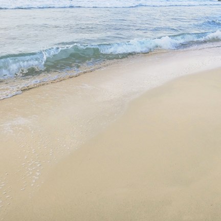 Framed Beach VI Print