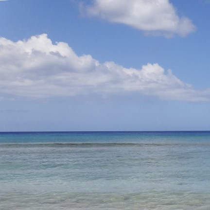 Framed Beach VII Print