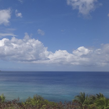 Framed Beach IX Print