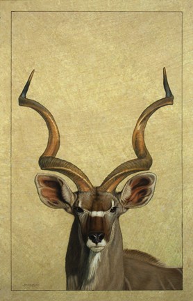 Framed Kudu Print