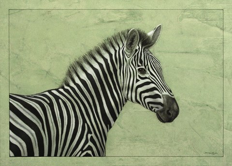 Framed Zebra Print