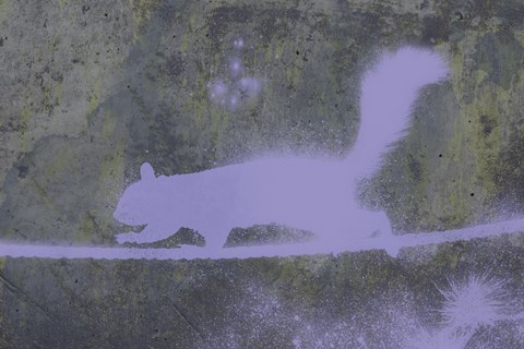 Framed Urban Animals II Print