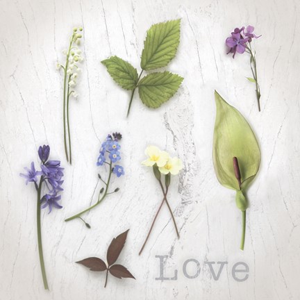 Framed Nature Love Print