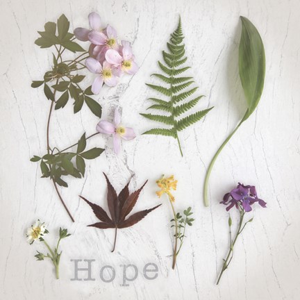 Framed Nature Hope Print