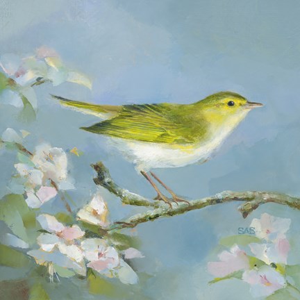 Framed Woodland Birds III Print