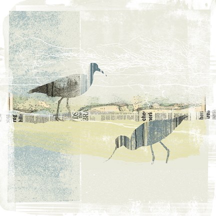 Framed Coastal Birds I Print