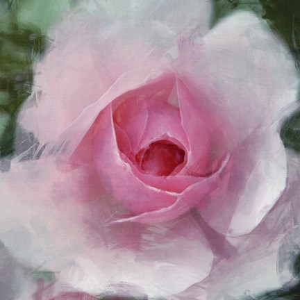 Framed Elegant Bloom I Print