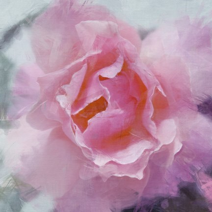 Framed Elegant Bloom II Print