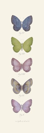 Framed Jardin des Papillons II Print