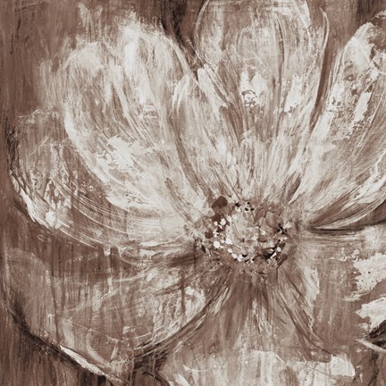 Framed Confetti Bloom II Print