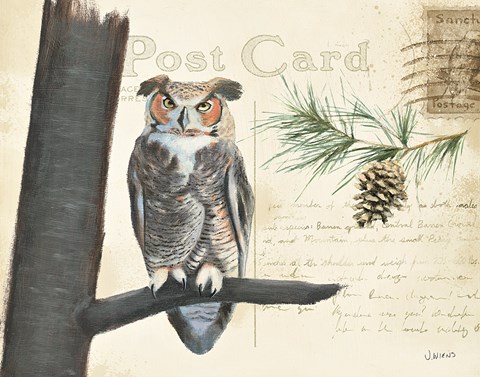 Framed Northern Wild V Print