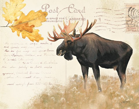 Framed Northern Wild III Print