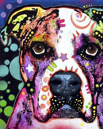 Framed American Bulldog 1 Print