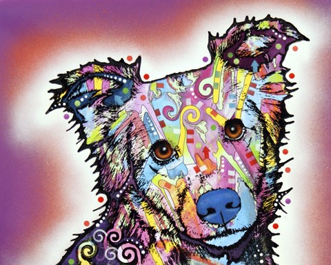 Framed Collied Print