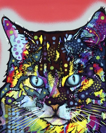 Framed Maine Coon Print