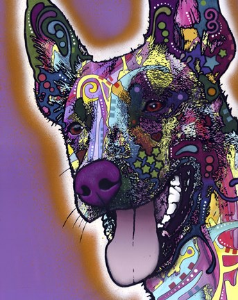 Framed Malinois Print