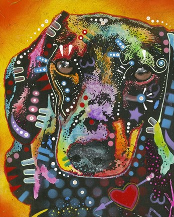 Framed Brilliant Dachshund Print