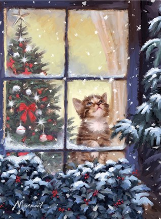 Framed Kitten And Snow Print