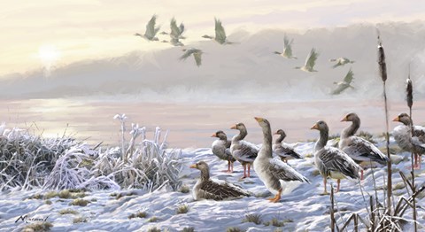 Framed Winter River Geese Print