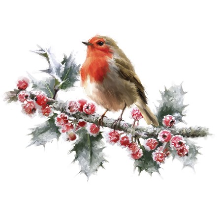 Framed Robin On Frost Print